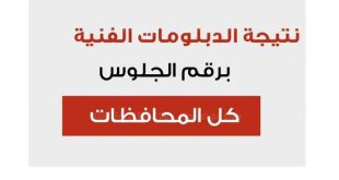 موقع نذاكر نتيجة الدبلومات الفنية 2024 بالاسم أو رقم الجلوس